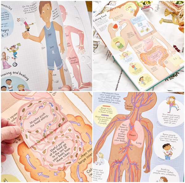 Usborne Look inside Your Body