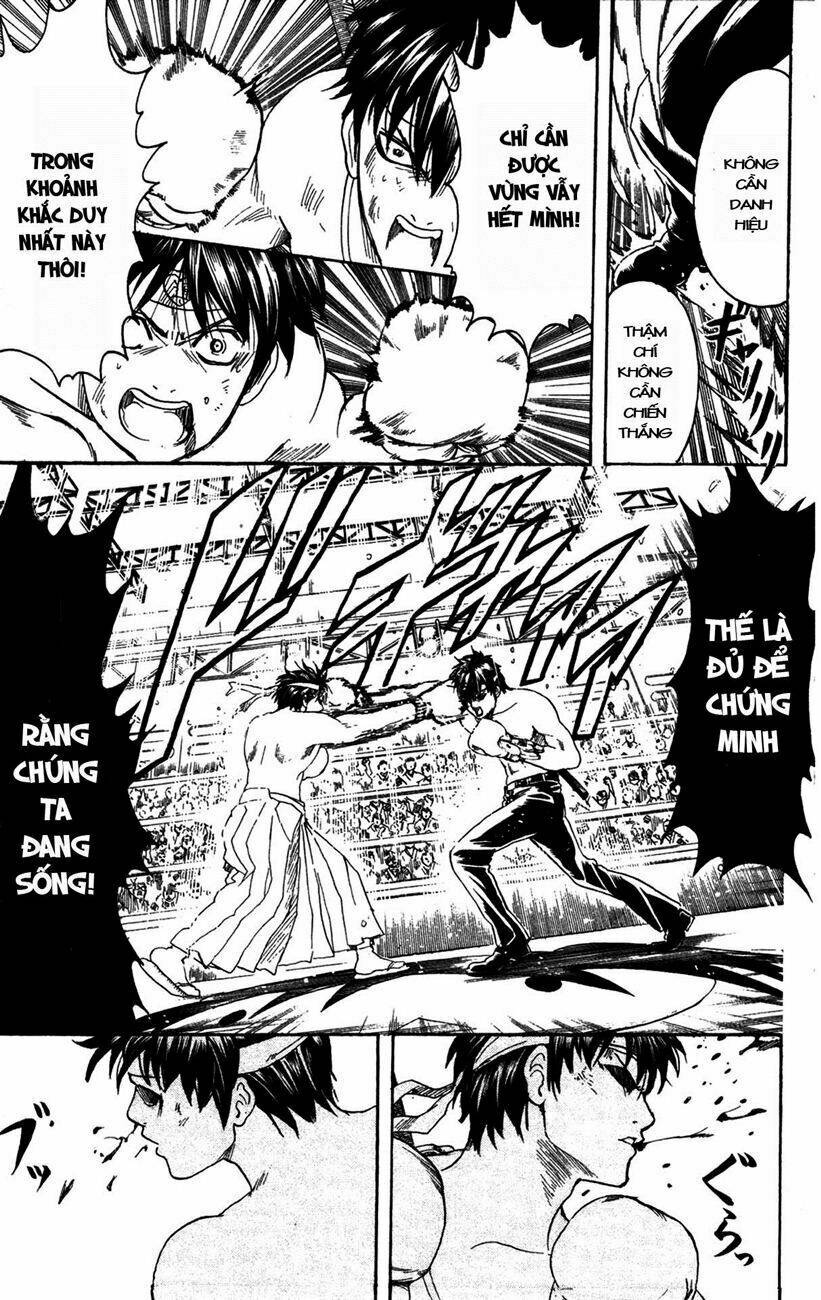 gintama - linh hồn bạc chapter 245 15