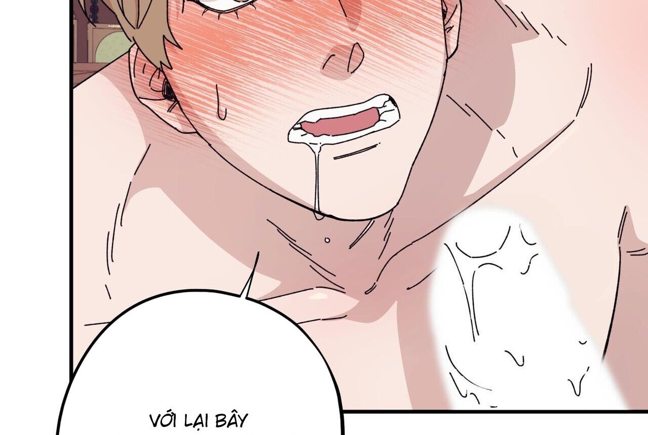 chàng dâu nhà họ kang chapter 46 2