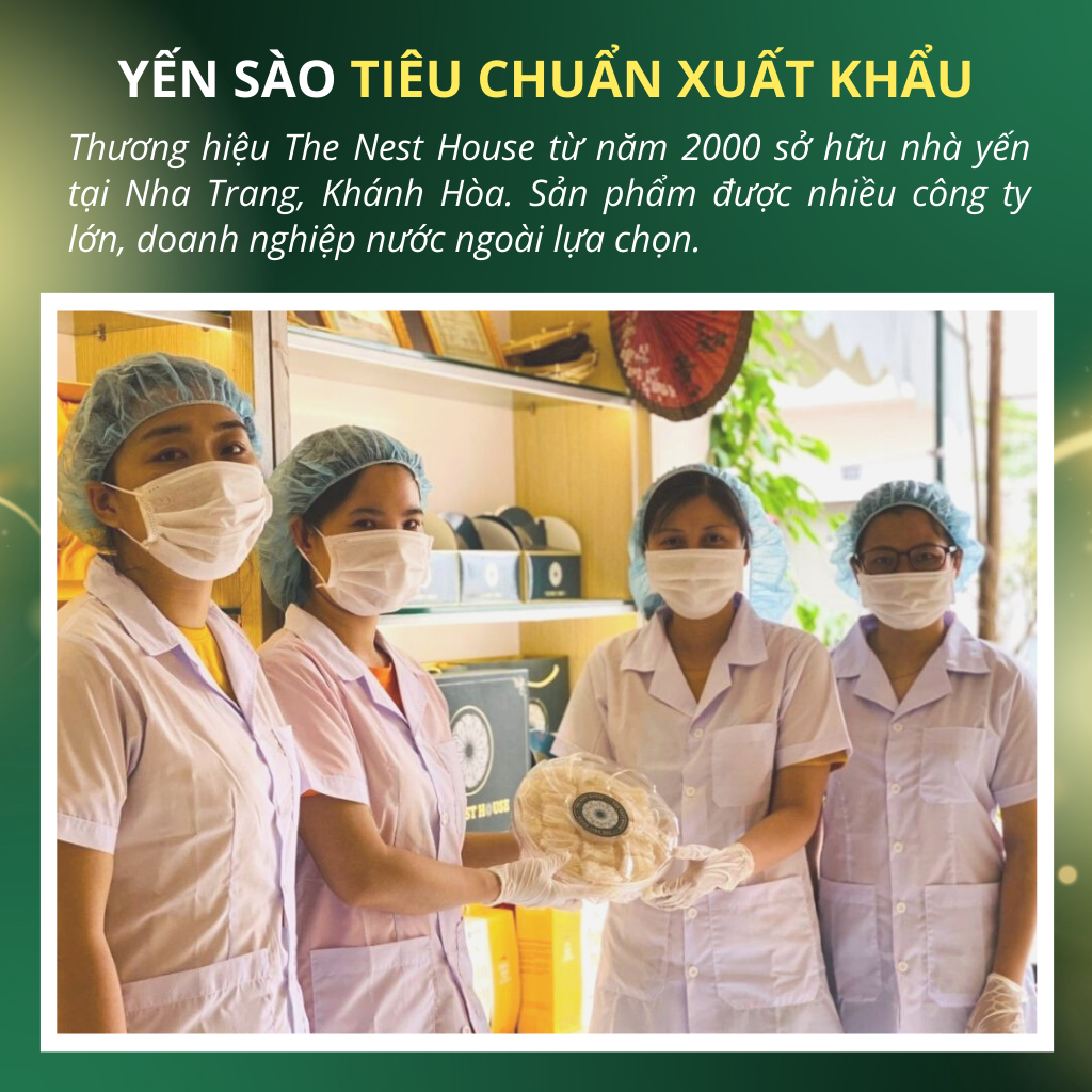 Tổ yến sào thô nguyên tổ nguyên chất 50gr 100gr tổ yến già ít lông The Nest House