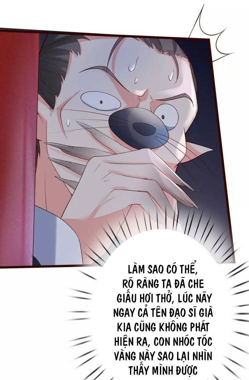 vú em tiên tôn đi ở rể chapter 150 11