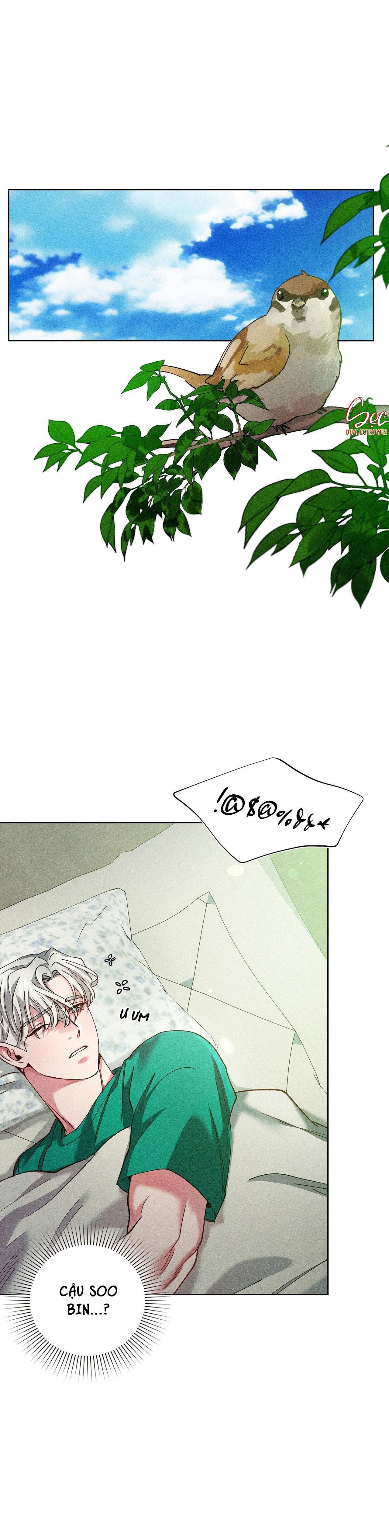 cùng nâng tạ nhé chapter 38 1