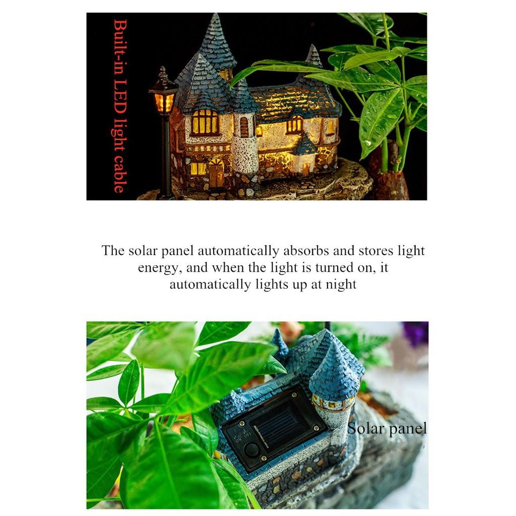 Chậu composite trồng cây mini bonsai sinh động lạ mắt