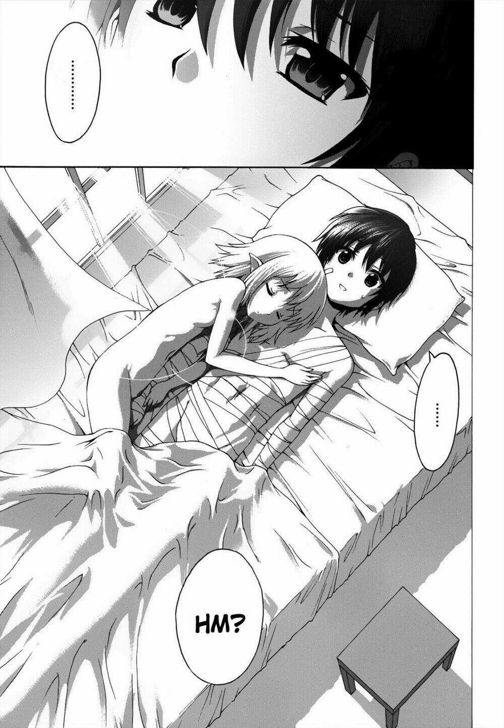 seikoku no dragonar chapter 20 14