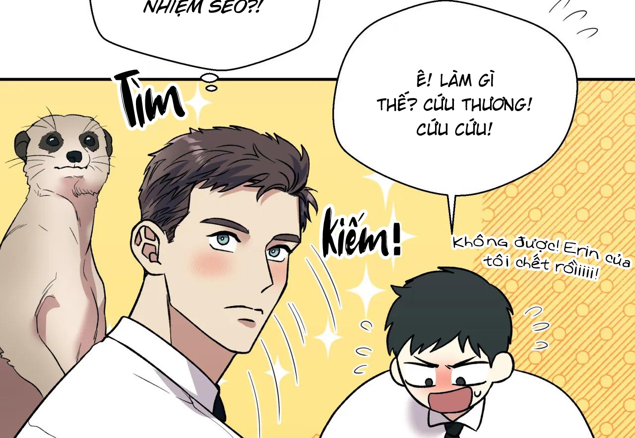 ám ảnh pheromone chapter 41 20