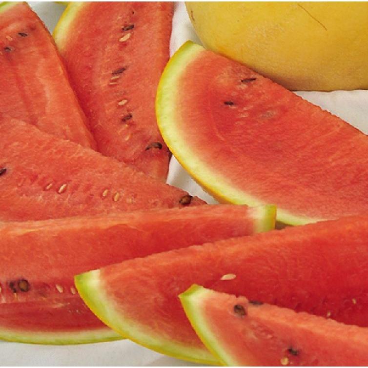 Hạt giống dưa hấu vỏ vàng ruột đỏ f1- Gói 10 hạt-tặng kèm gói phân bón lót