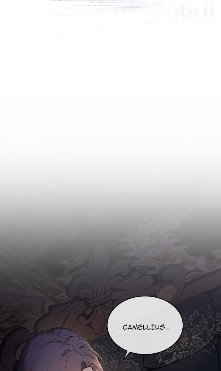 tìm lại nàng camellia chapter 0 36