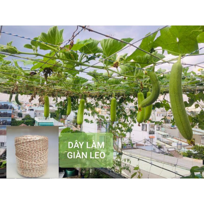 Dây thừng|| Dây Buộc Giàn Leo || Dây Treo Trái || Treo Nông Nghiệp