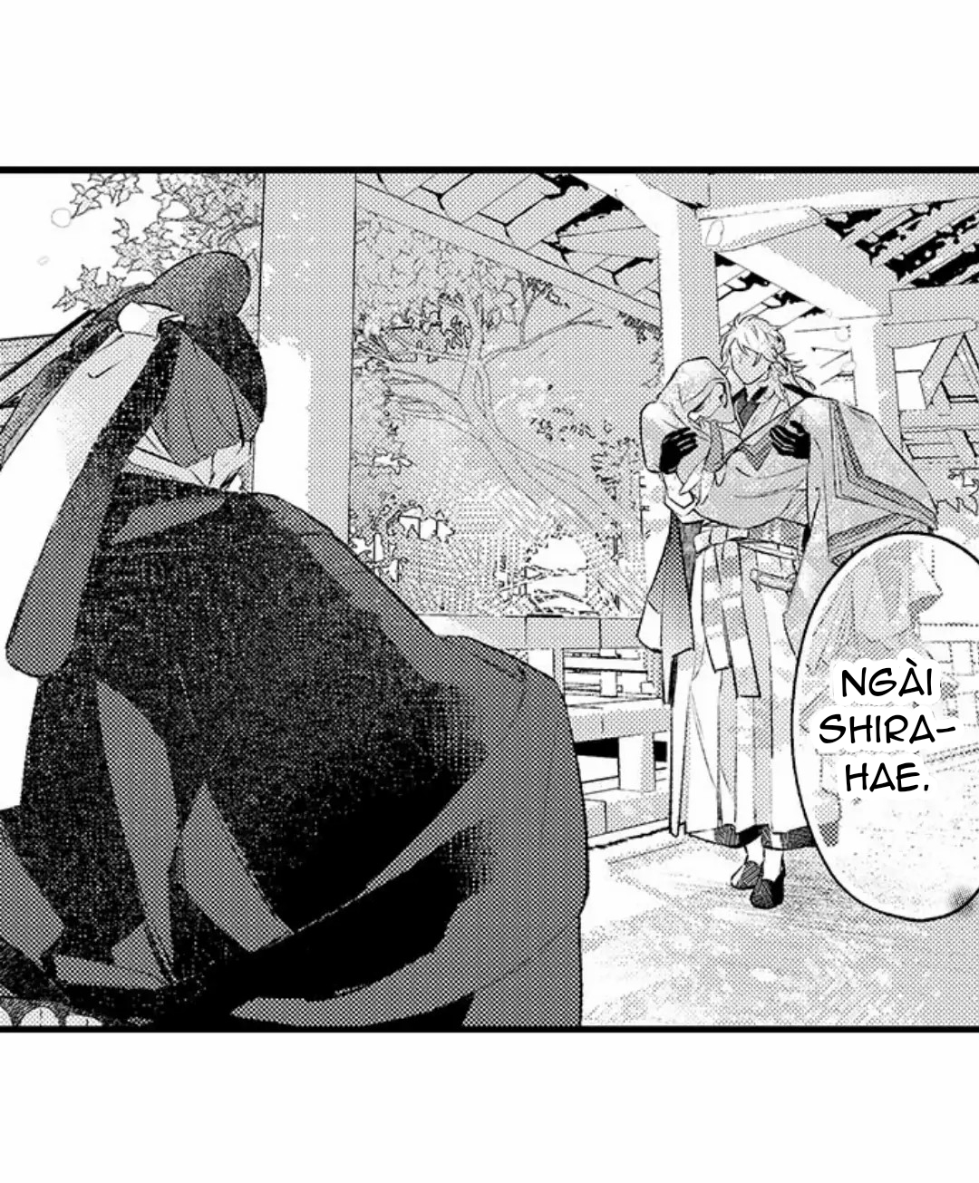 điểu thượng minh hoa chapter 11.1 9