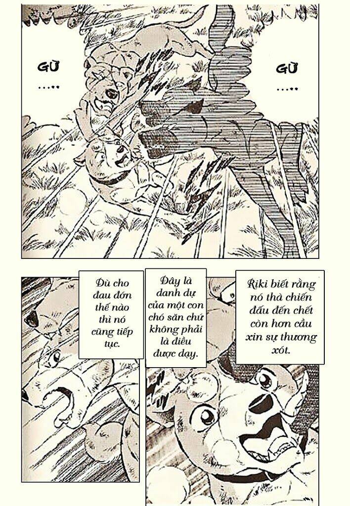 ginga densetsu riki chapter 5 12