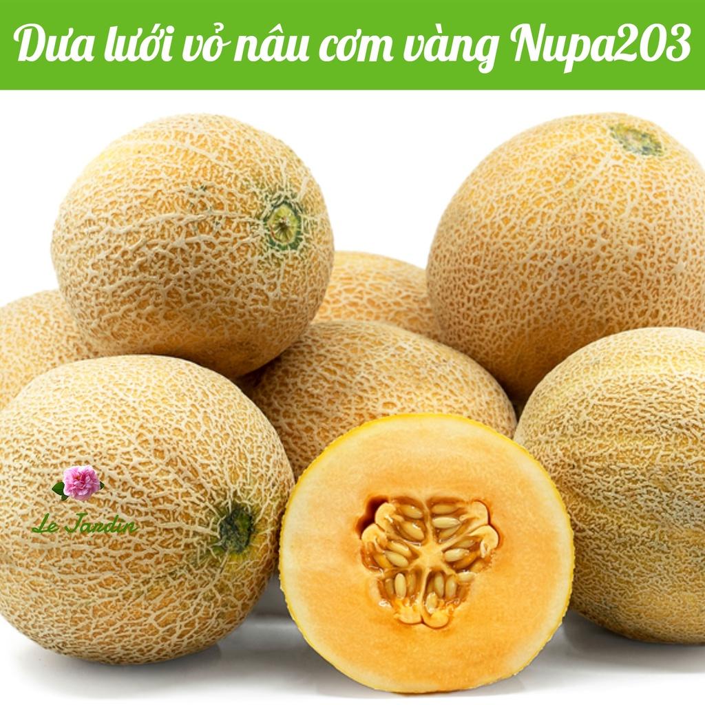 Hạt giống Dưa lưới vỏ nâu cơm vàng gói 1gr