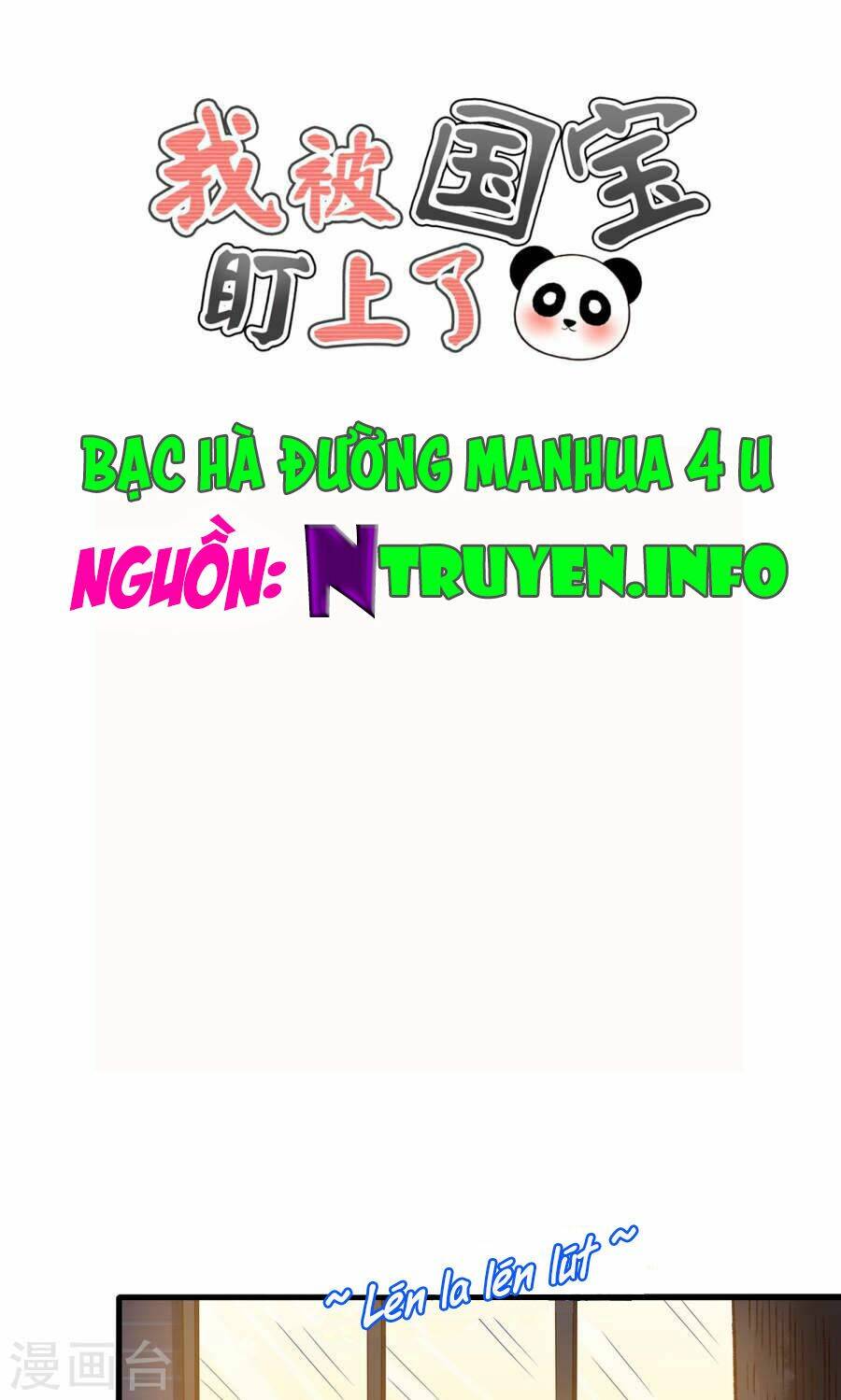 tôi bị gấu trúc nhìn trúng rồi chapter 13 1