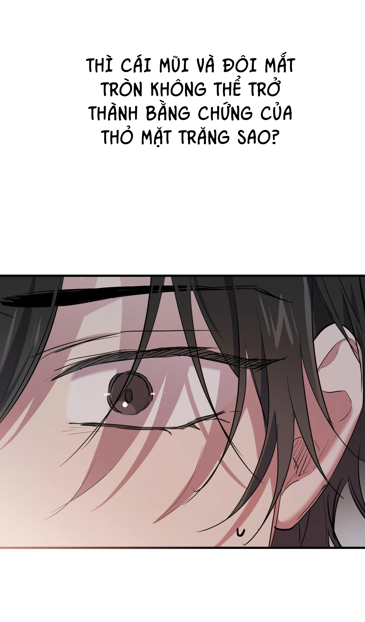 những chú thỏ của hapypy chapter 19 20