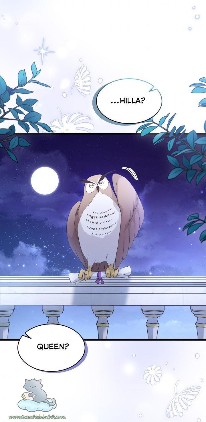 quan hệ cộng sinh giữa báo đen và thỏ trắng chapter 62 44