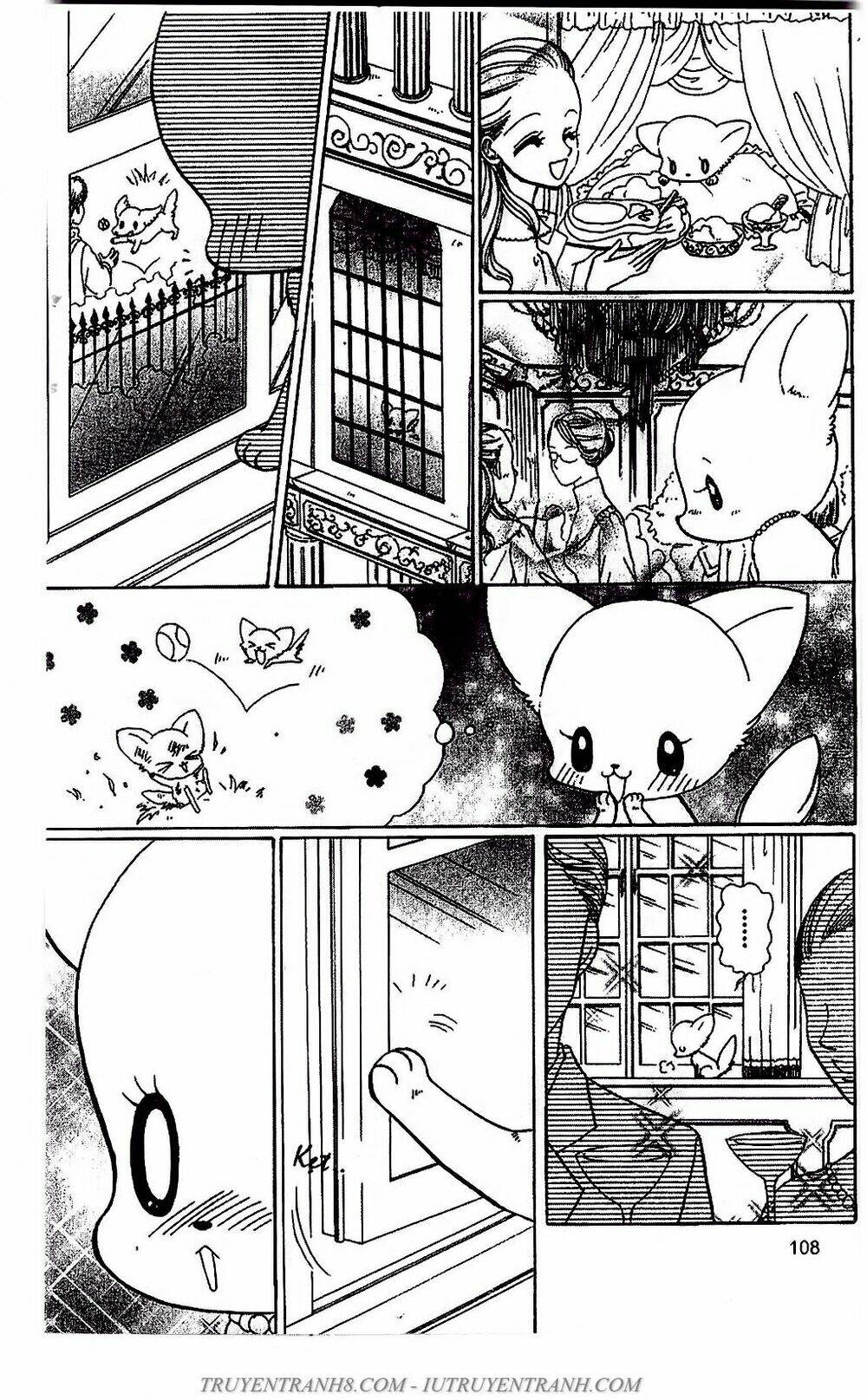 bộ sưu tập lọ lem chapter 51 6