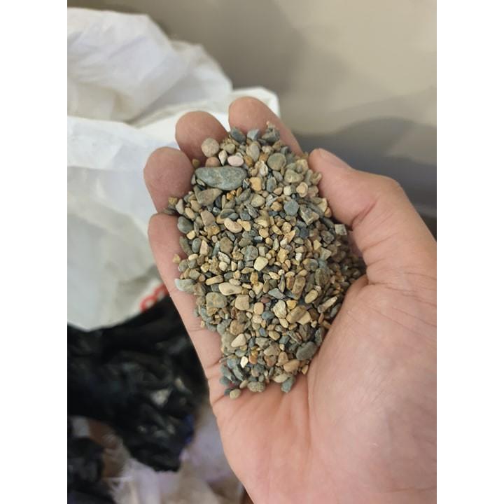 Sạn suối thiên nhiên trải nền bể cá 500Gr