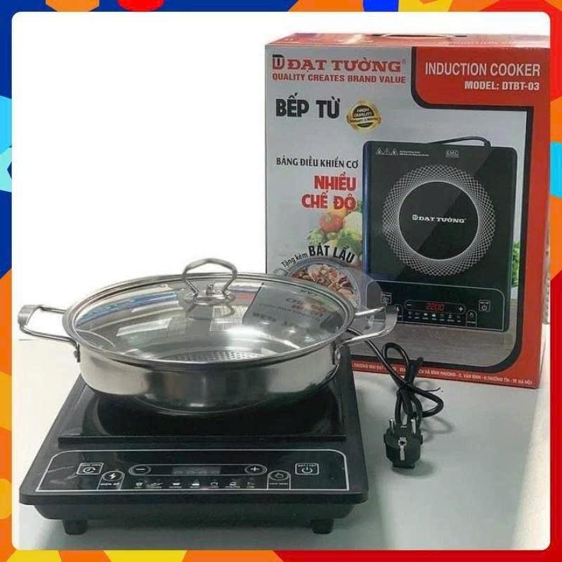 Bếp từ Đạt Tường chính hãng công suất 2000W, bếp điện từ 8 chế độ nấu đa năng, tặng kèm nồi lẩu 28cm