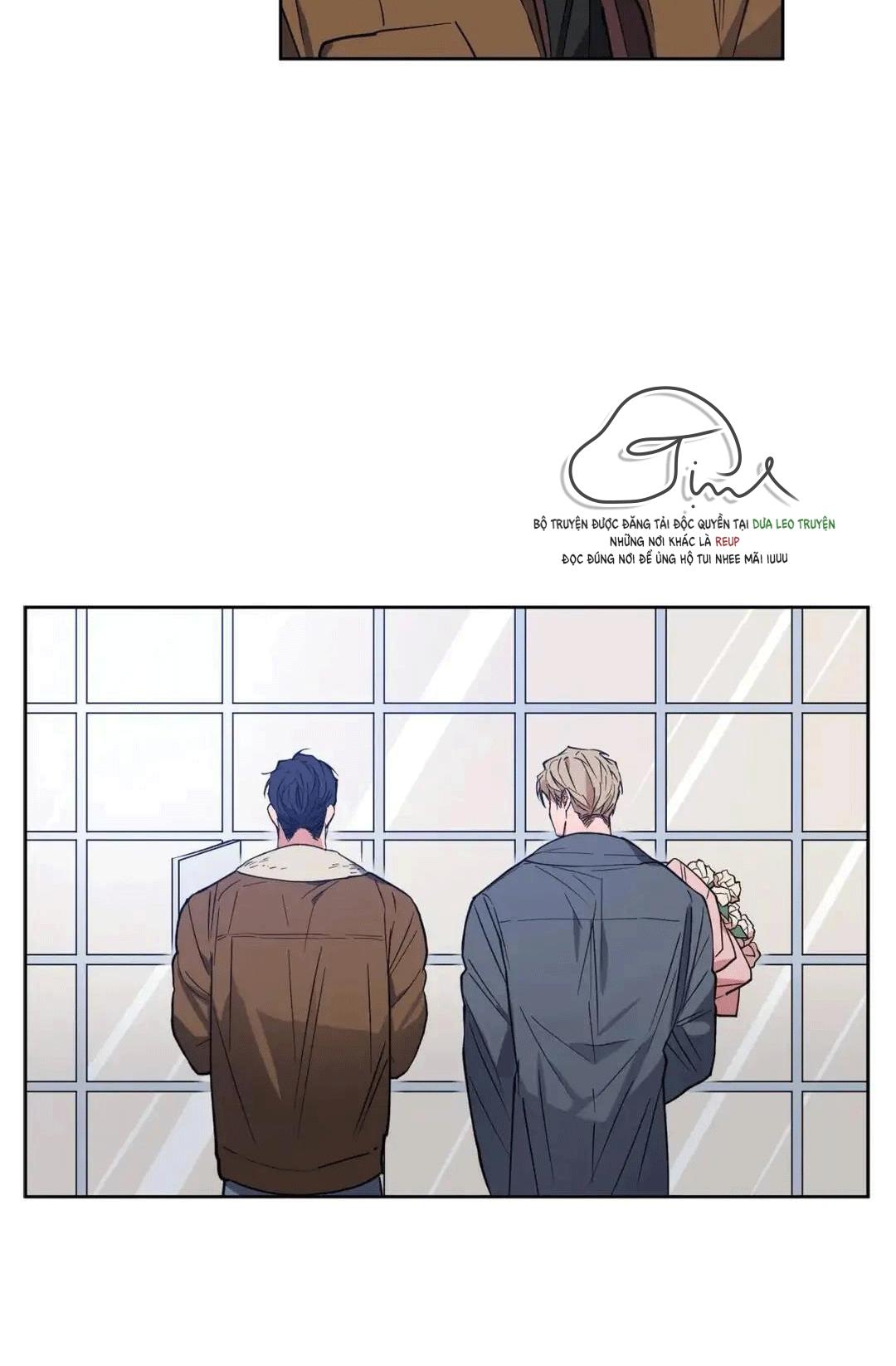 love plan chapter 9 49