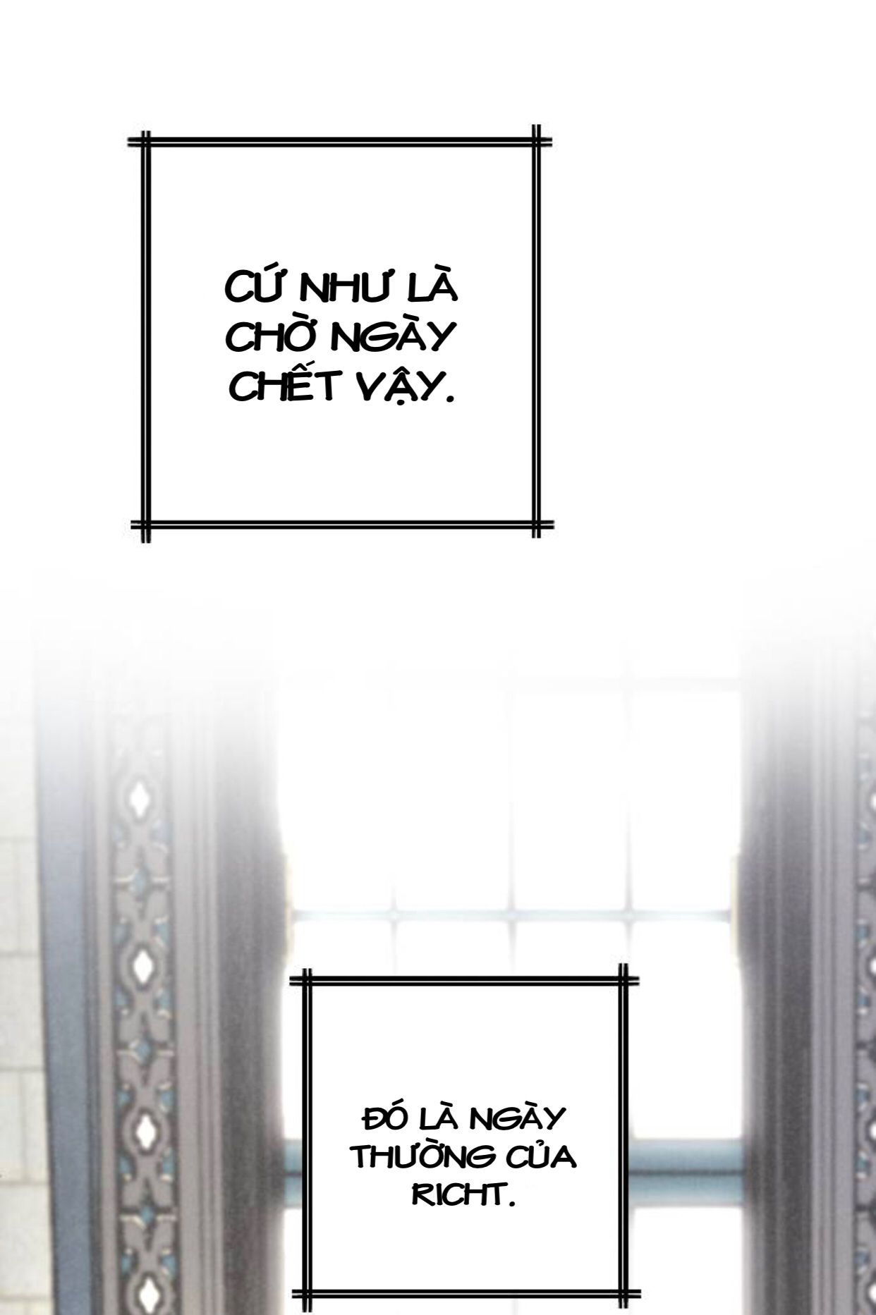 lựa chọn cuối cùng của tôi là nam phụ chapter 11 38