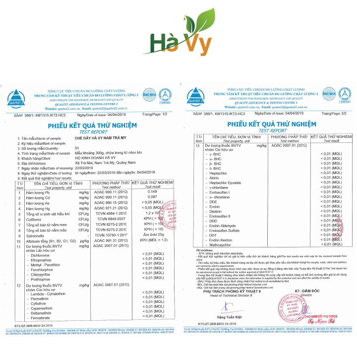 Combo Trà Rau Má Rừng, Trà Dây, Trà Khổ Qua Rừng Nam Trà My Hà Vy hỗ trợ làm đẹp da, hỗ trợ tiêu hoá hiệu quả (set 3 hộp trà túi lọc)