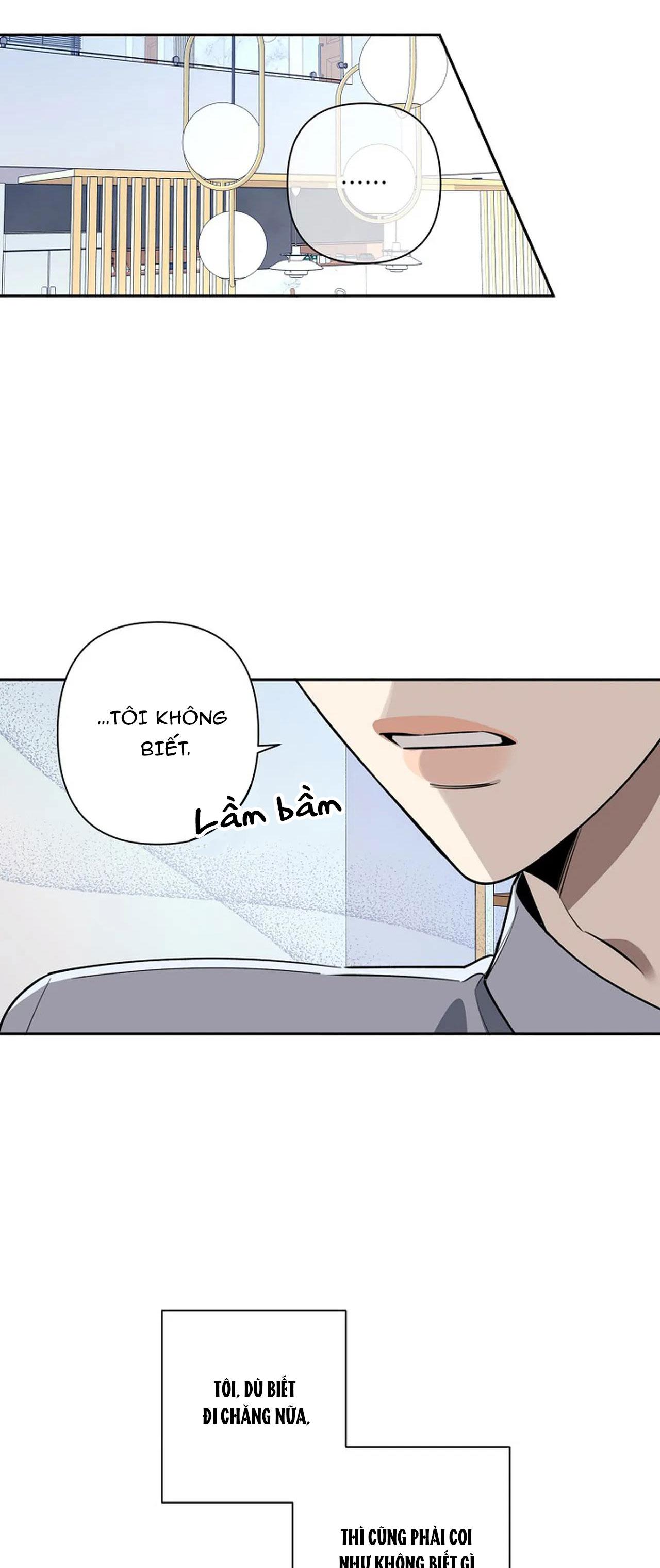 đêm dịu dàng chapter 39 38