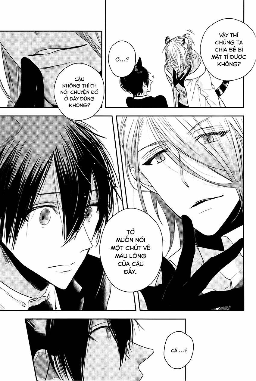 sói đen và cáo bạc chapter 2 21