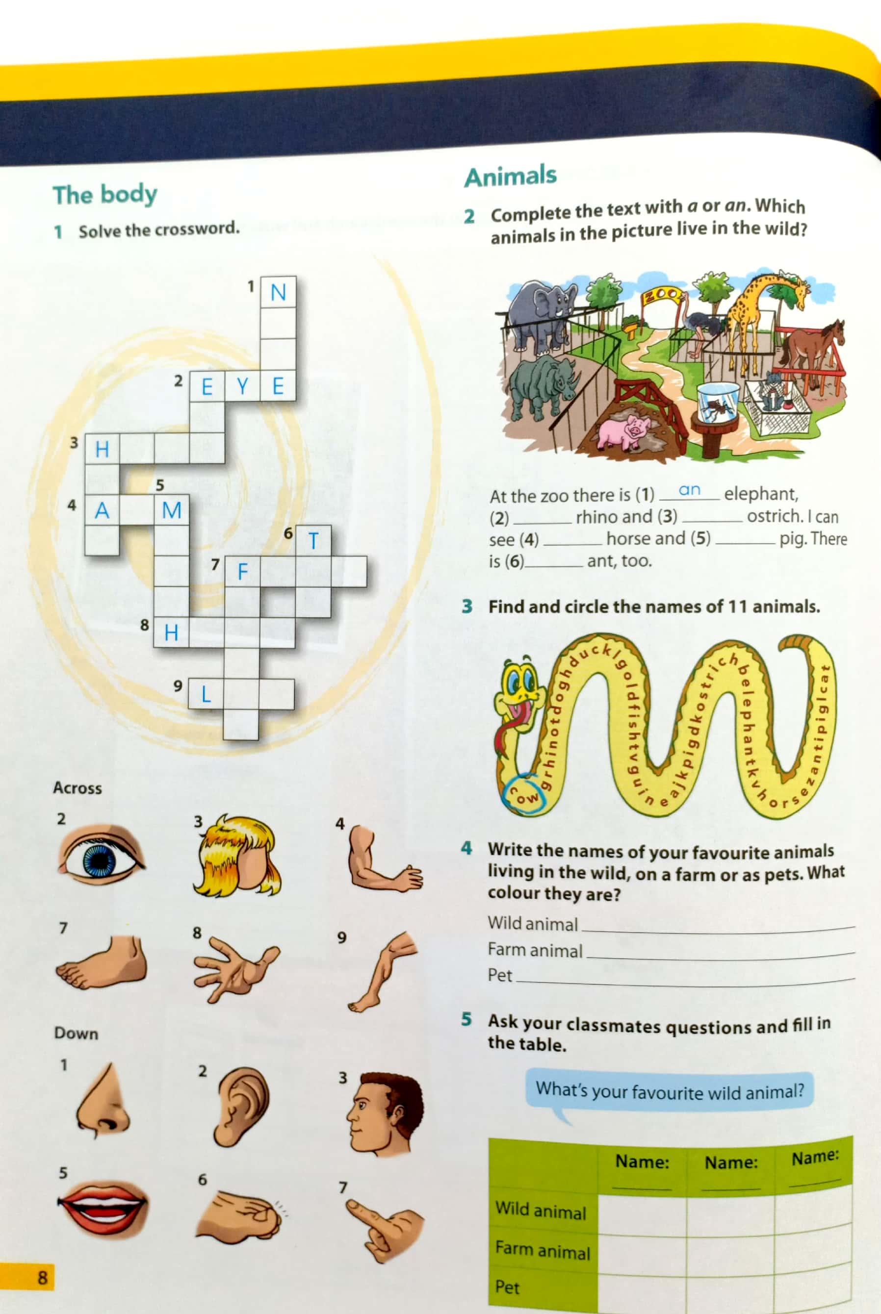 Hopscotch 4: Activity Book With Audio CD