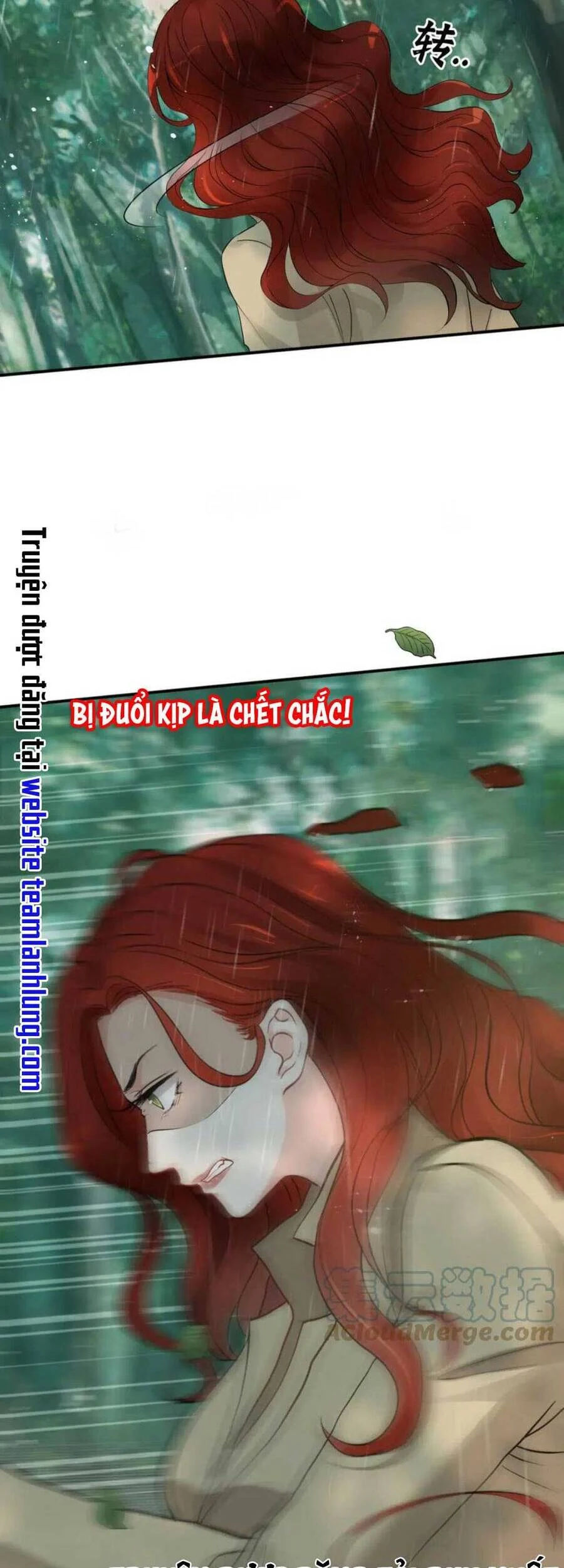 cô vợ hợp đồng bỏ trốn của tổng giám đốc chapter 477 35