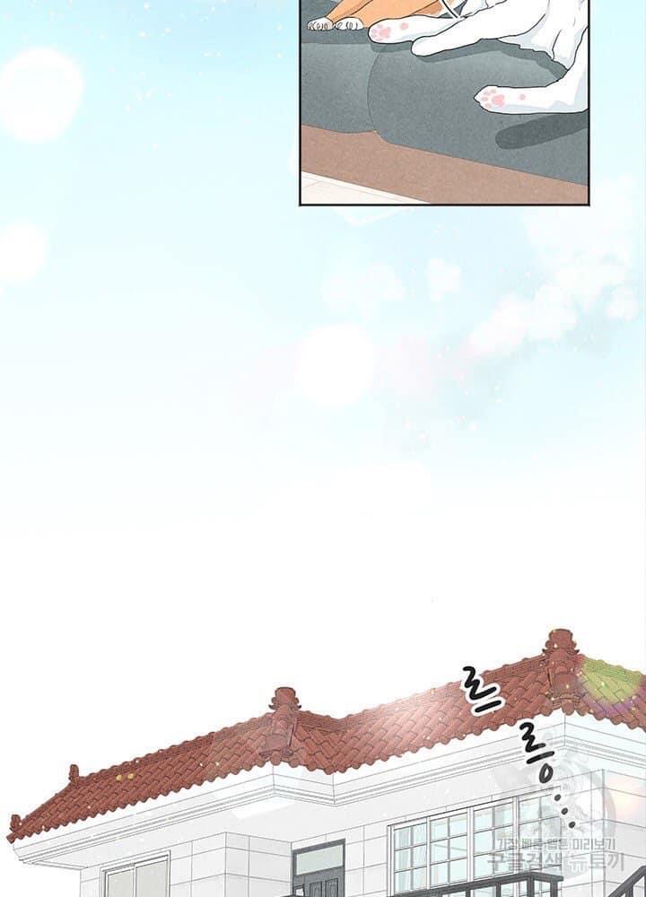 bốn cách cứu rỗi một người vợ chapter 1.1 4