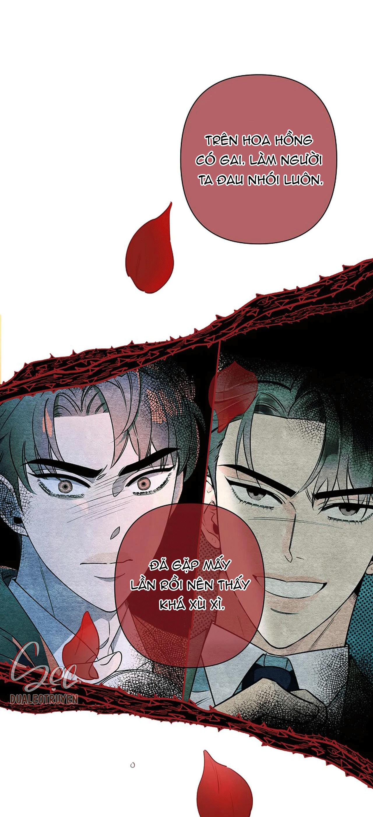 đêm dịu dàng chapter 36 41