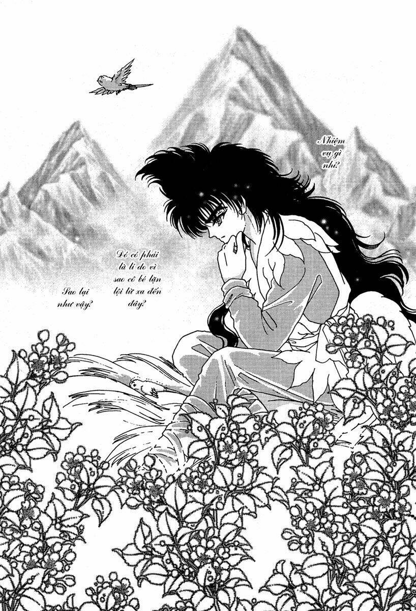 bird of youth chapter 6 18