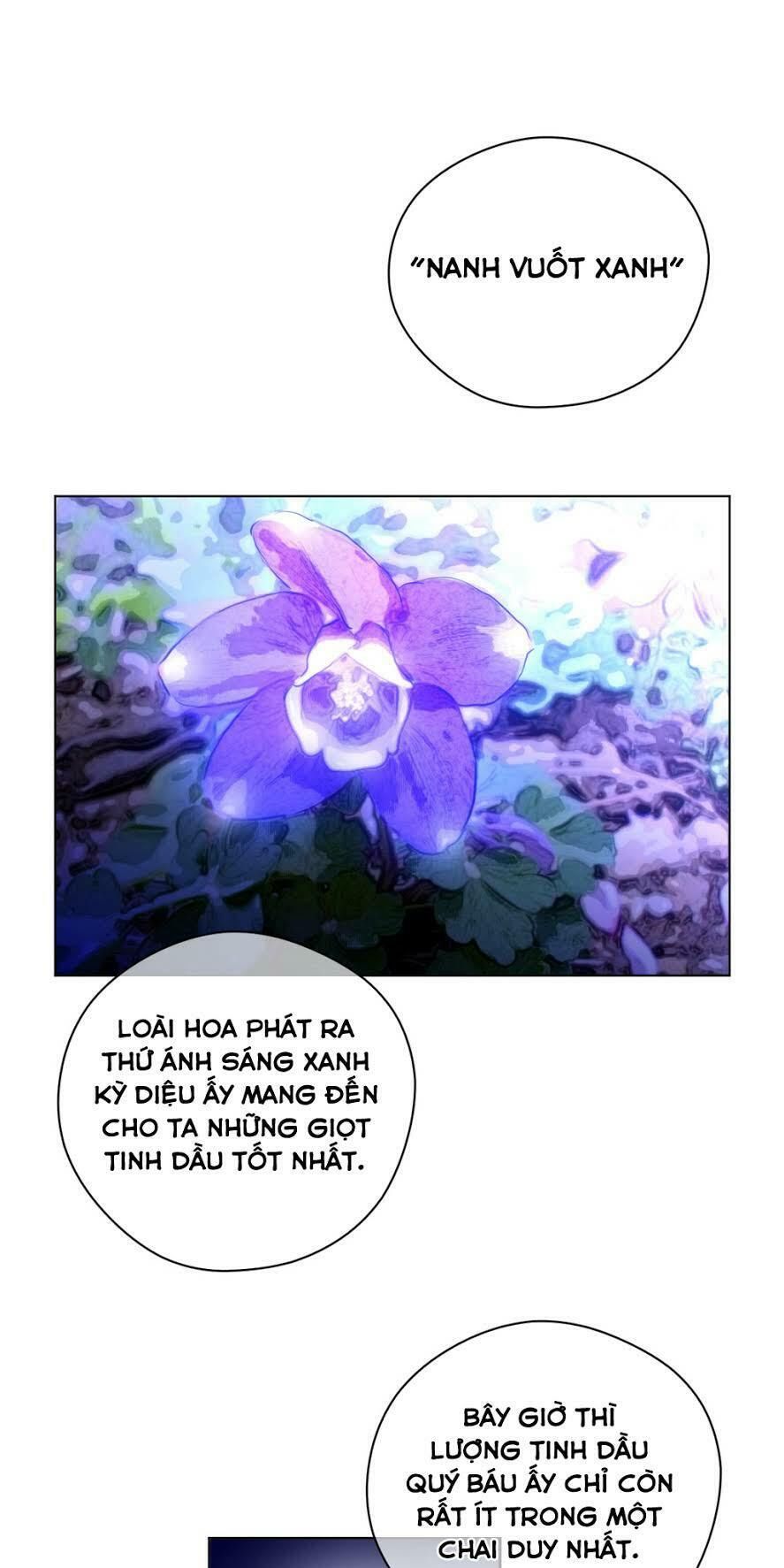 một nửa hoàn hảo chapter 12 41