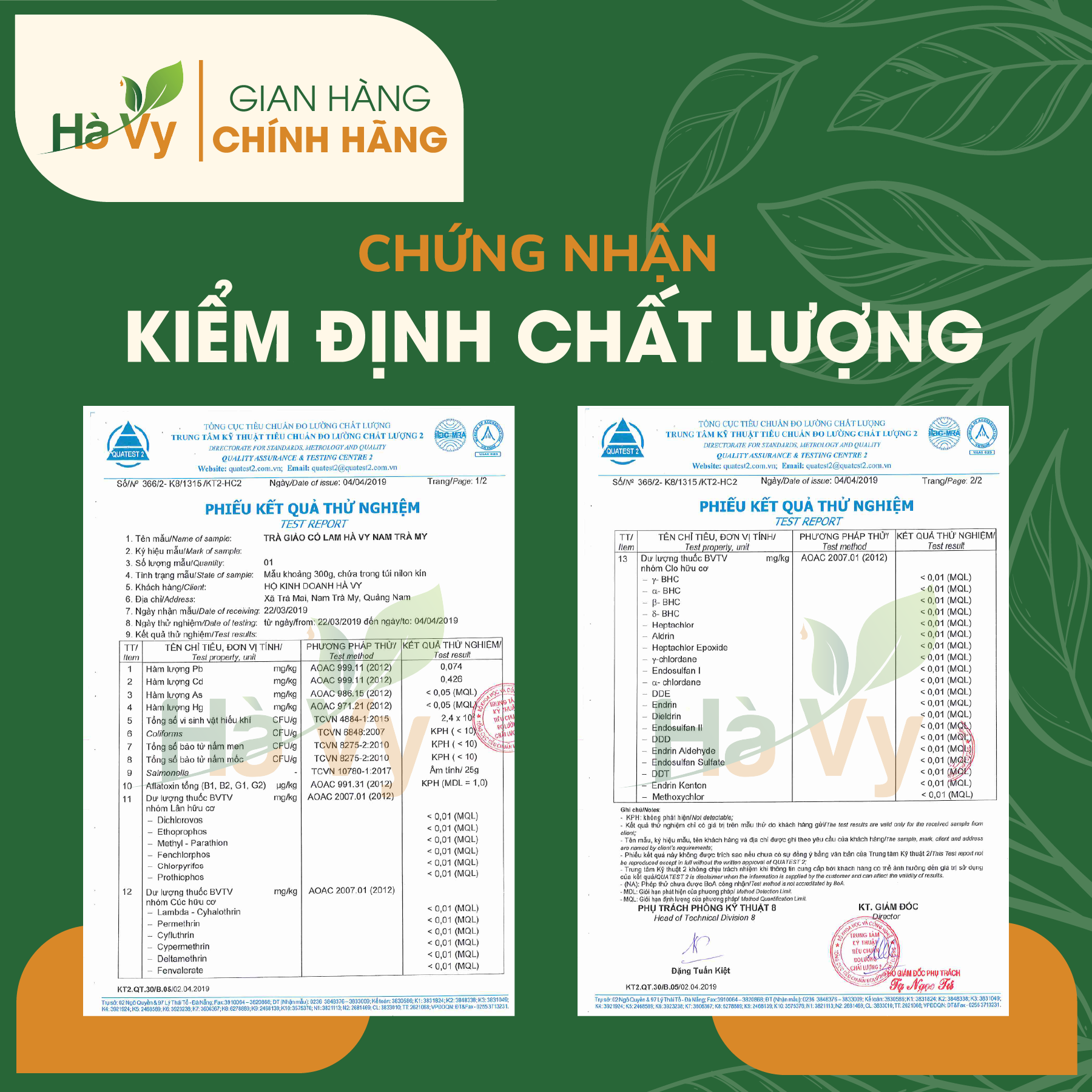 Combo Trà Giảo Cổ Lam &amp; Trà Khổ Qua Rừng Nam Trà My Hà Vy hỗ trợ giảm cân, cải thiện chứng mất ngủ hiệu quả (set 2 hộp trà túi lọc)