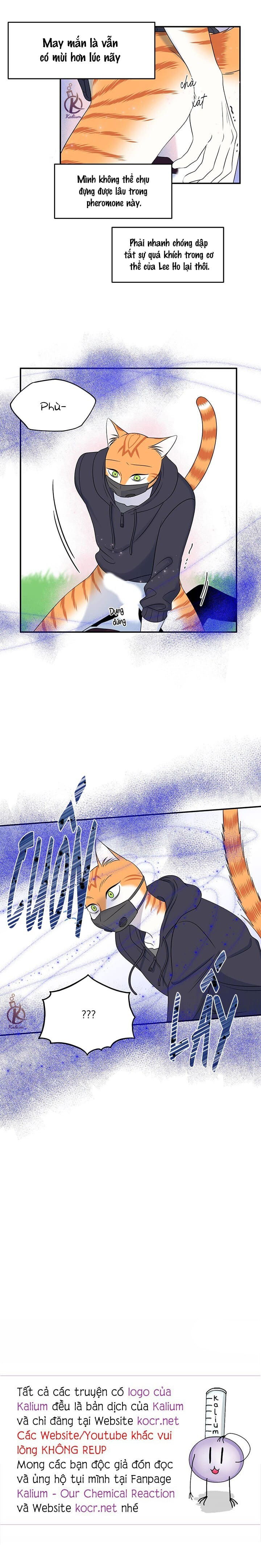 dự án xanh chapter 33 19