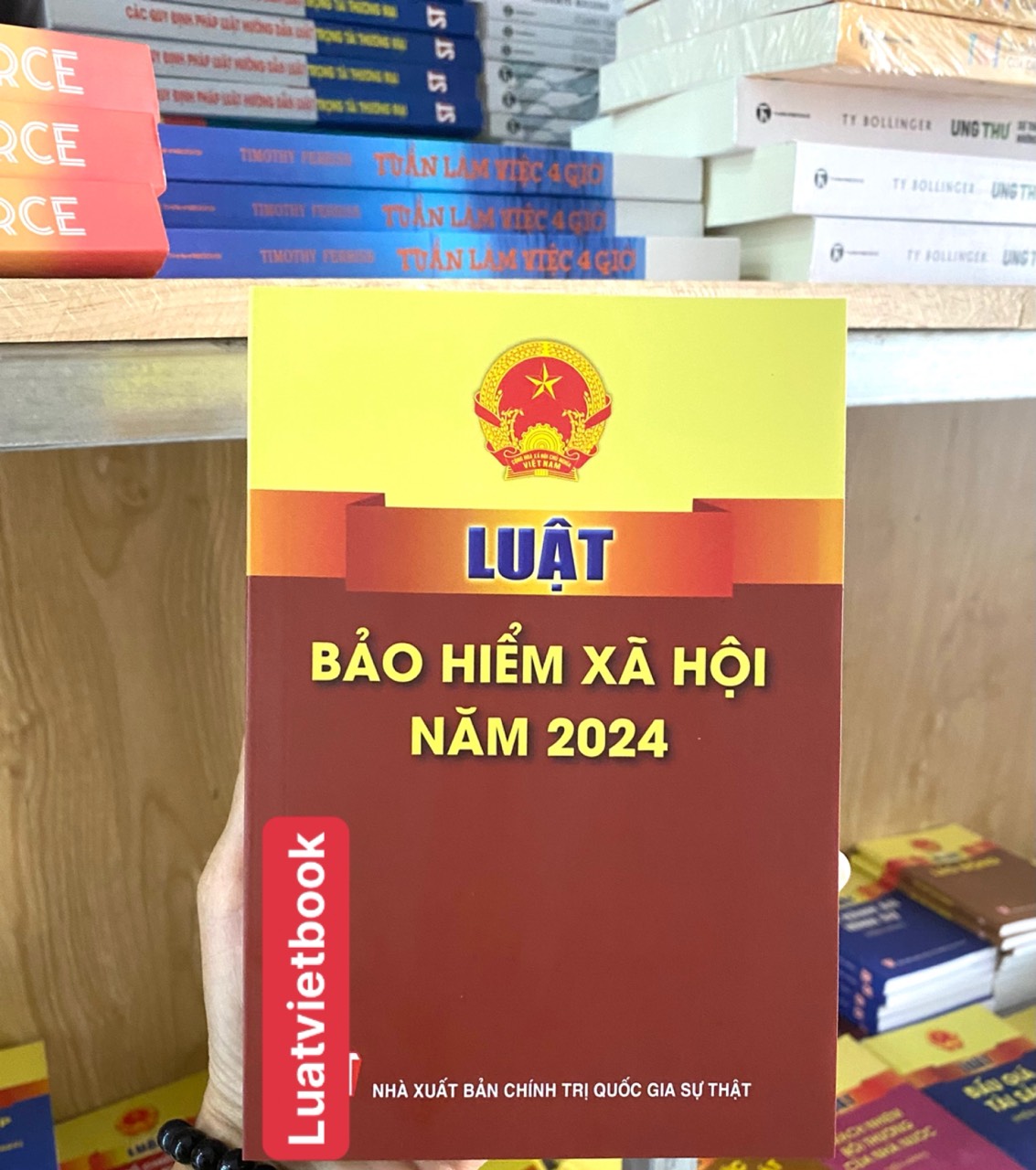 Luật Bảo Hiểm Xã Hội Năm 2024