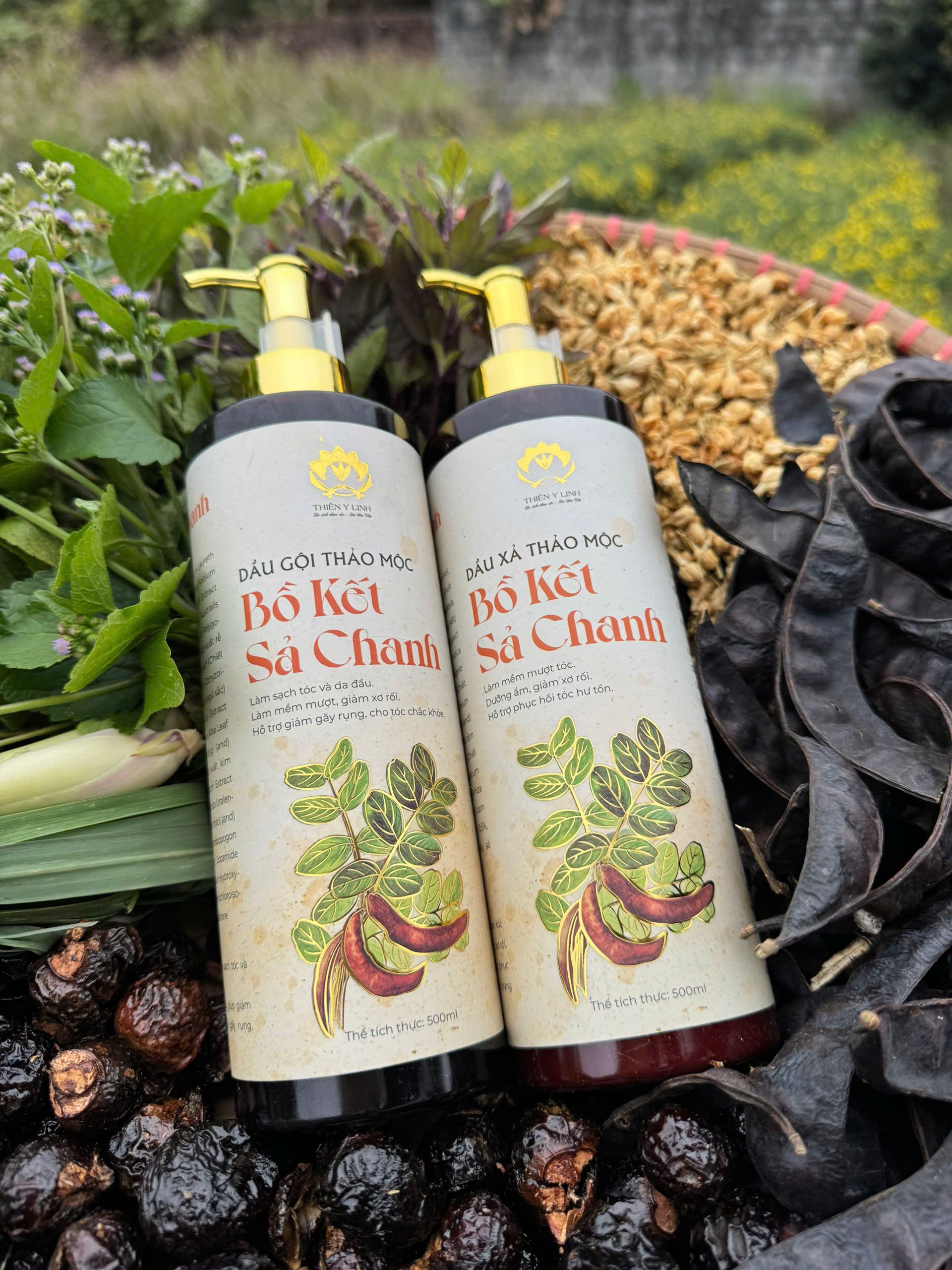 Dầu Xả Bồ Kết Sả Chanh thảo mộc phục hồi tóc hư tổn vì uốn nhuộm.