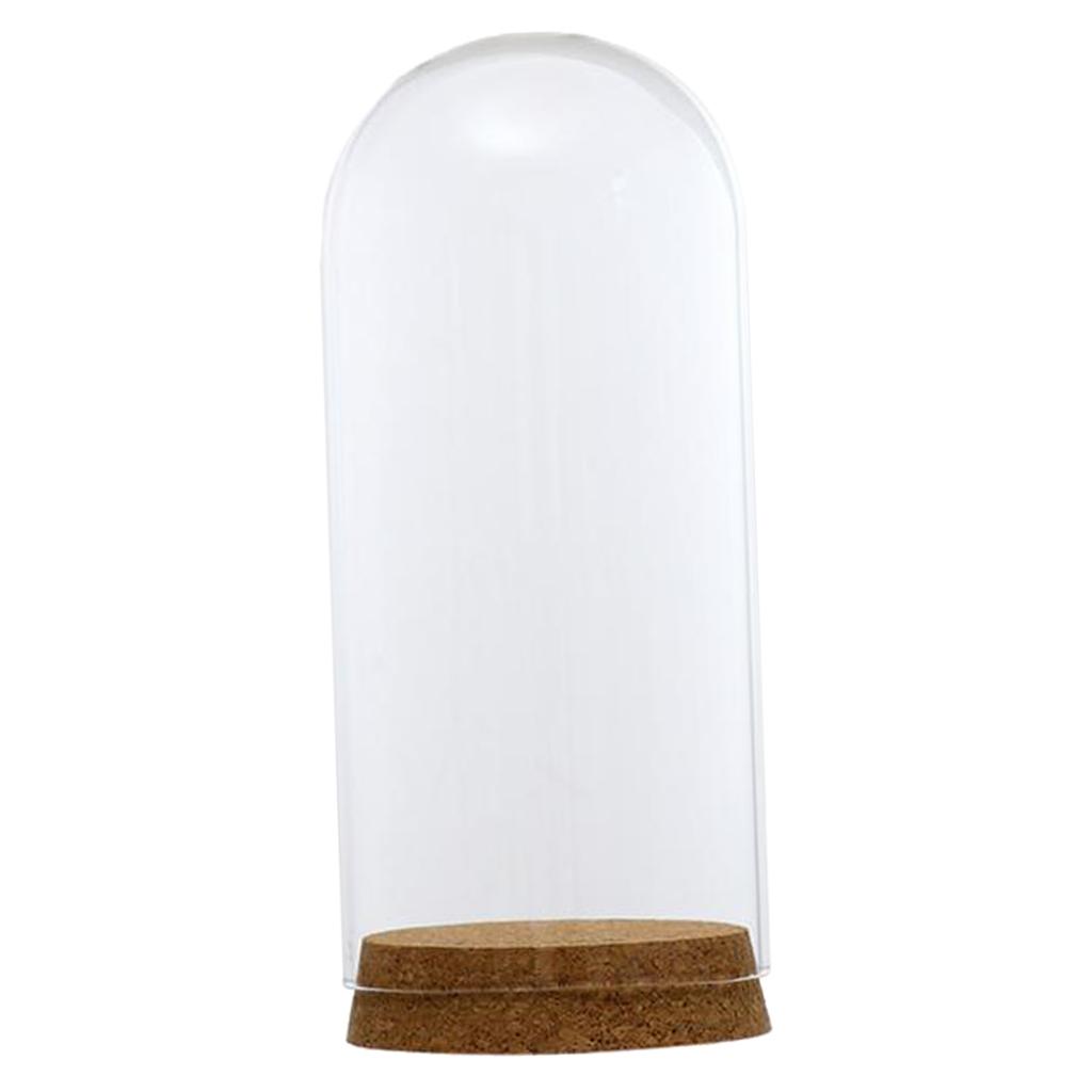 4xGlass Cover Landscape Terrarium Container Lid Vase Bottle 8x18cm