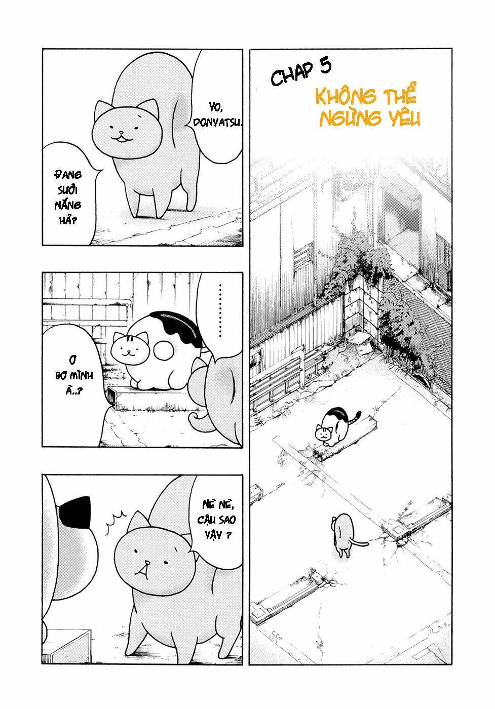 donyatsu chapter 5 3