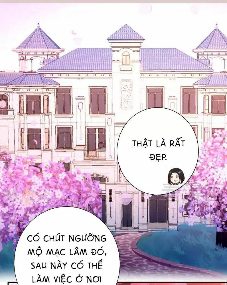 phục thù thiếu gia tiểu điềm thê chapter 85 14