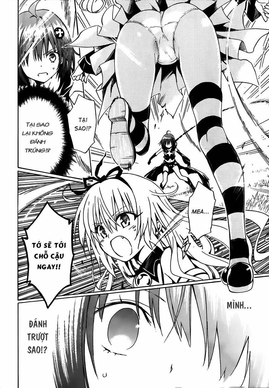 bọn tớ thích cậu! rito 2 - venus chapter 29 14