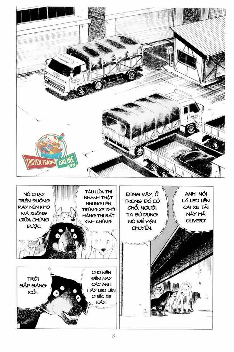 chú chó có nghĩa - ginga nagareboshi gin chapter 31 9