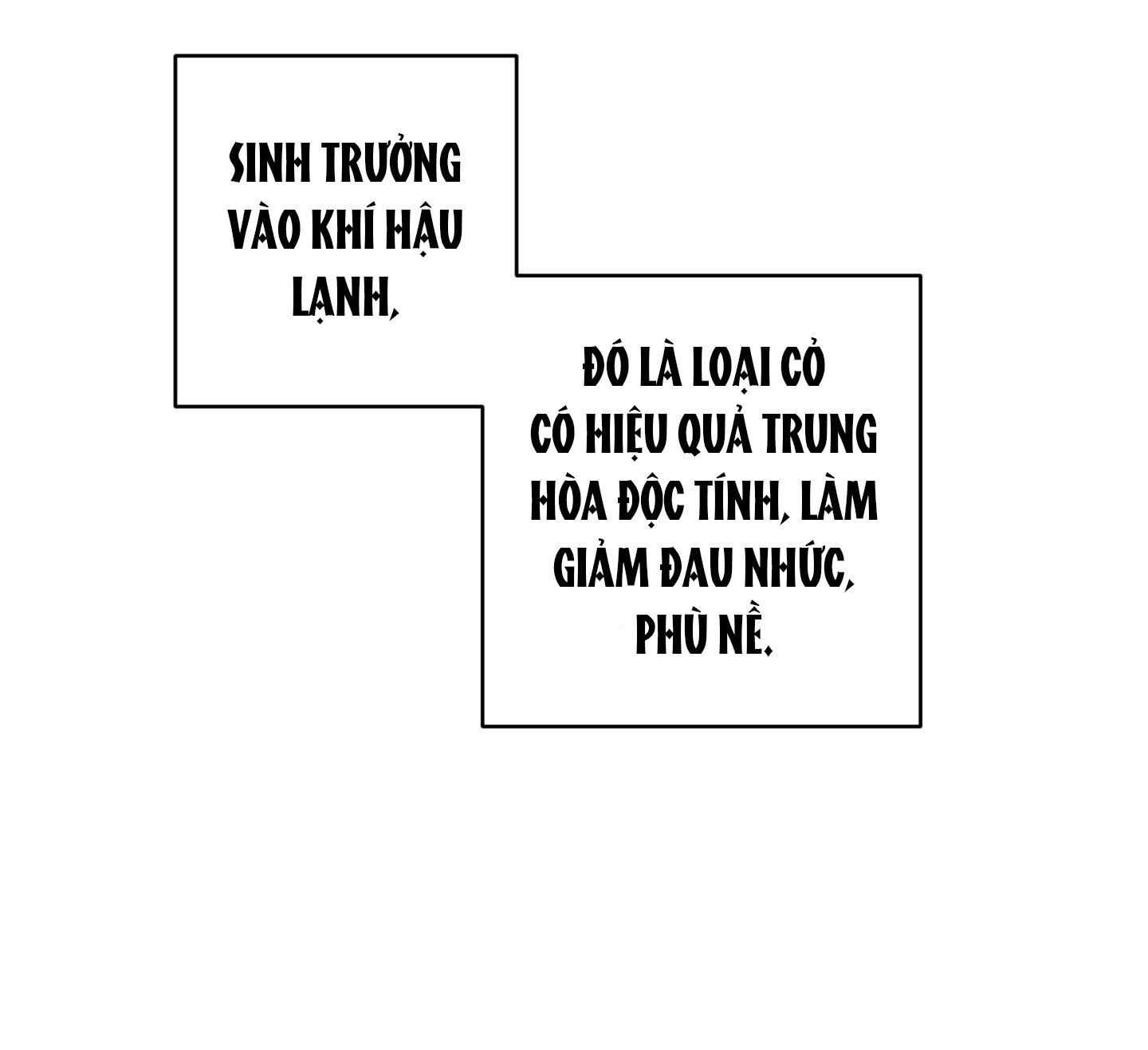 đóa hoa của mặt trời chapter 19.1 40