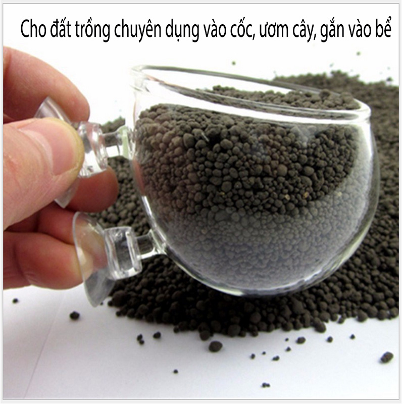Cốc thủy sinh gắn thành bể trồng cây trang trí trong bể cá cảnh
