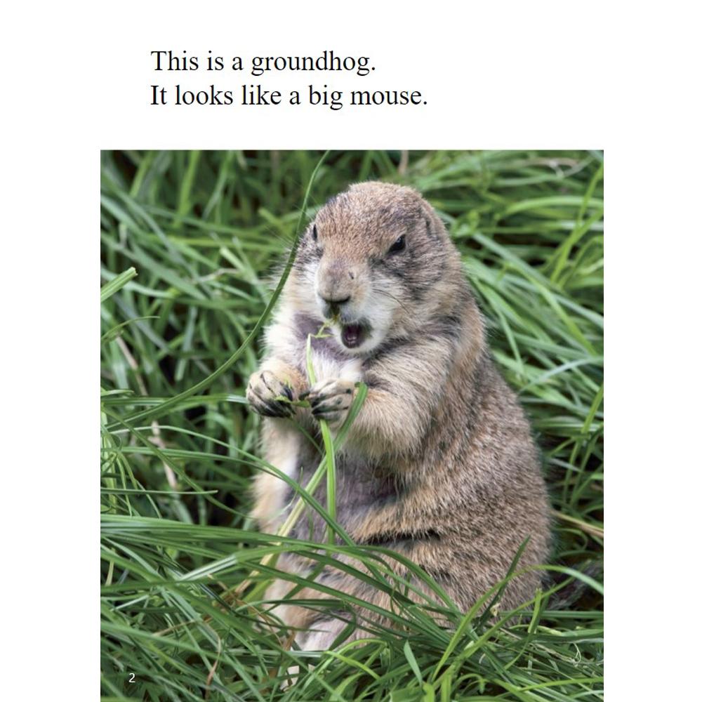 [Compass Reading Level 3-6] Groundhog Day - Leveled Reader with Downloadable Audio