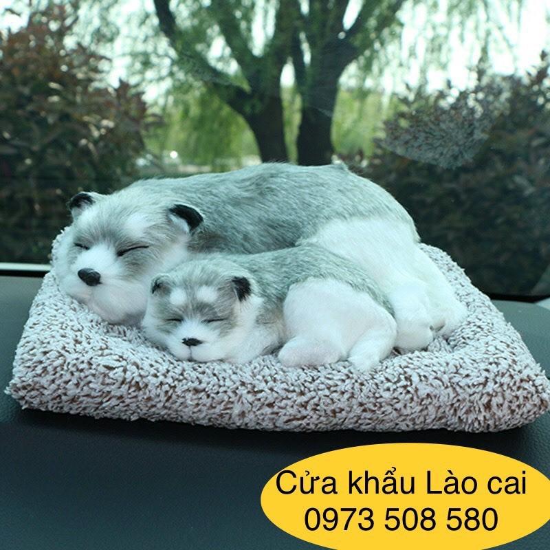 Chó đôi để taplo xe oto- chó mèo than hoạt tính Size to