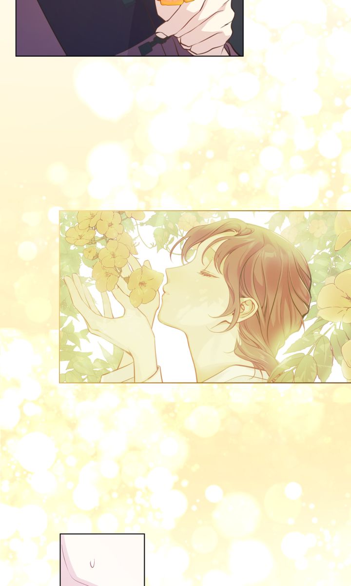 khi những nụ hoa nở rộ chapter 2 46