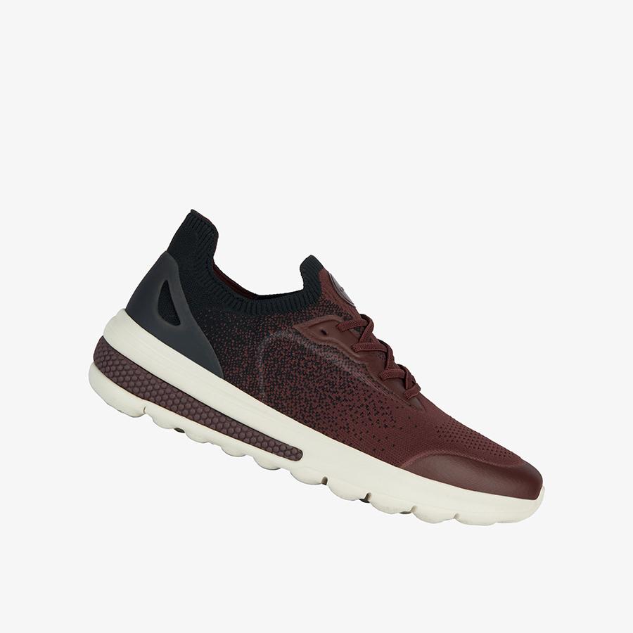 Giày Sneakers Nam GEOX U Spherica Actif A