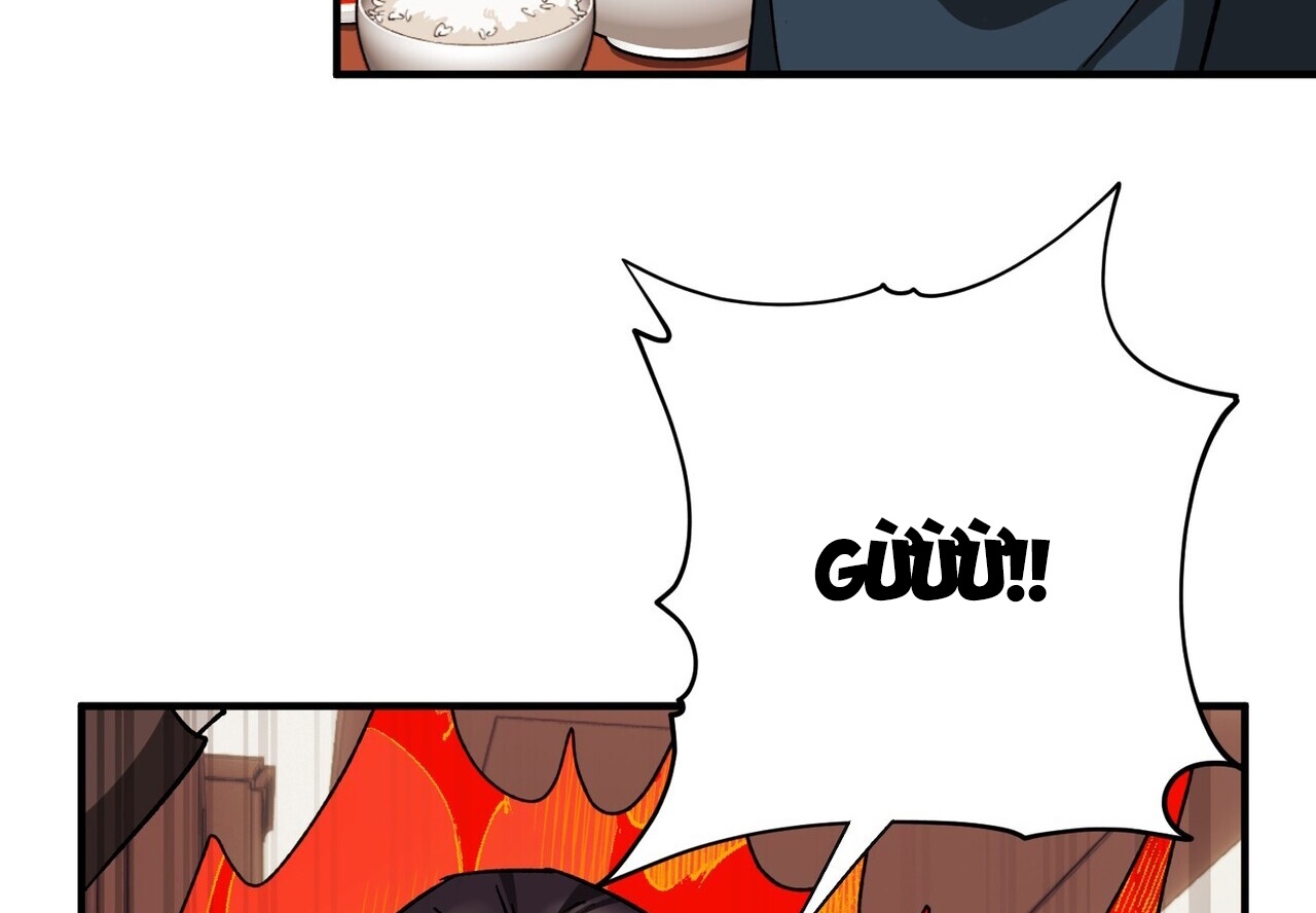 chàng dâu nhà họ kang chapter 40 77