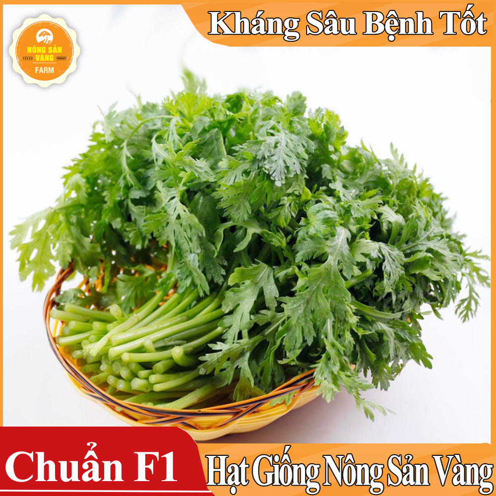 Hạt giống Rau Cúc Té , Rau Tần Ô ( Gói 20 Gram ) - Nông Sản Vàng