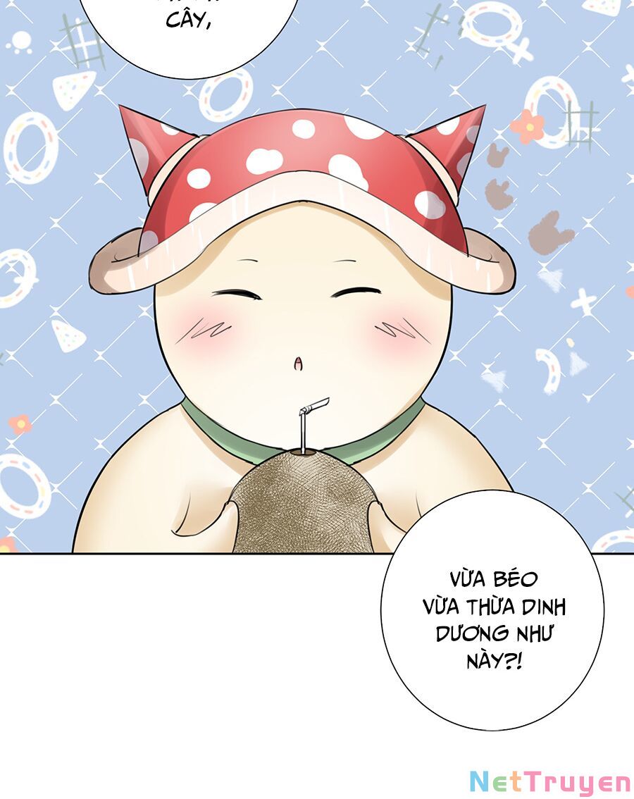 bản giáo chủ thân bất do kỷ chapter 27 18